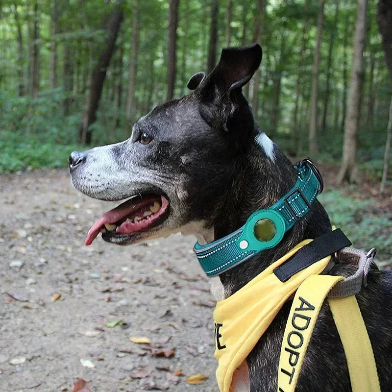 collar para perros con funda para Airtag/ GPS